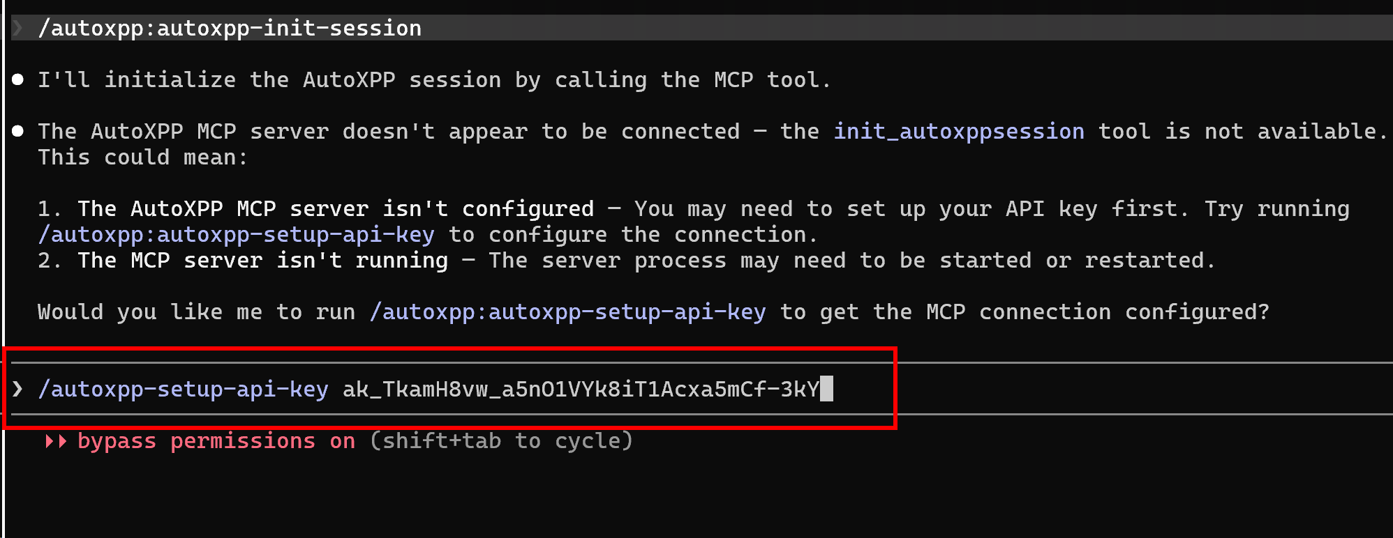 Running the autoxpp setup-api-key skill